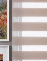 Darkening Zebra Blinds