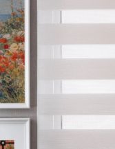 Sunscreen Zebra Blinds