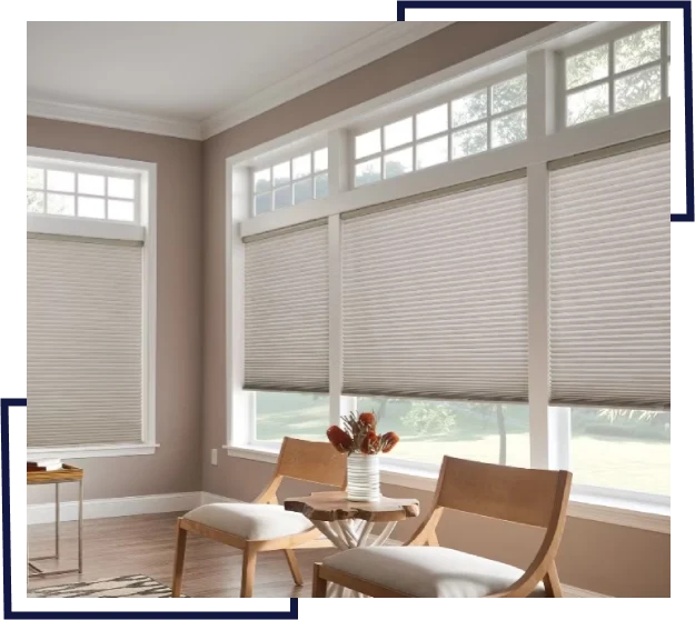 #1 Honeycomb Blinds