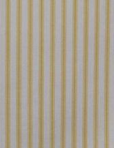 Cotton-005