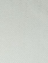 Cotton-006