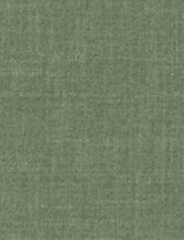 Cotton-008