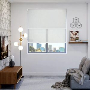 Dual Roller Blind