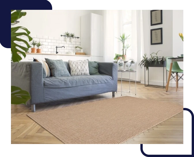 Living Room Sisal Rugs