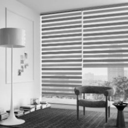 Polyester Duplex Blind