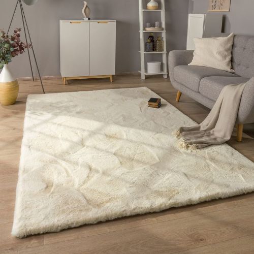 #1 Shaggy Rugs
