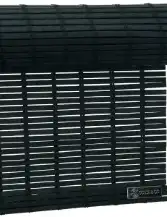 Balck-Bamboo