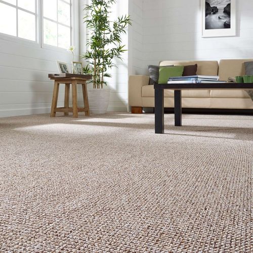 Beautiful Sisal Carpet