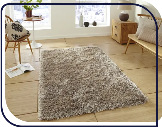 Best Shaggy Rugs
