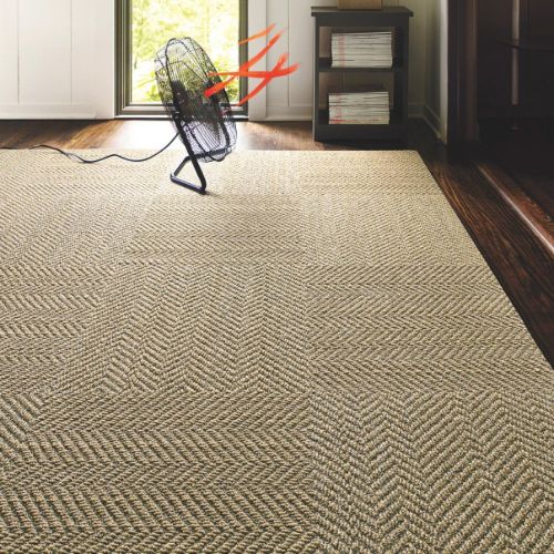 Best Sisal Carpet