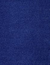 Blue Carpet 03