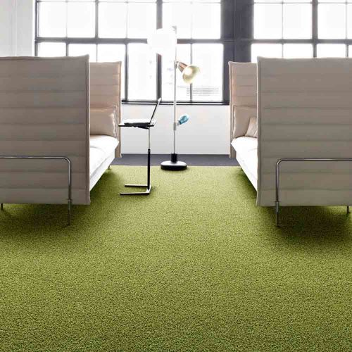 Carpet Dubai Dubai Media City