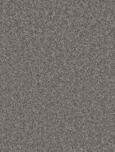 Grey Carpet 022