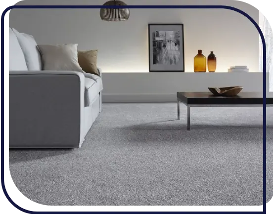 Grey Carpet 3