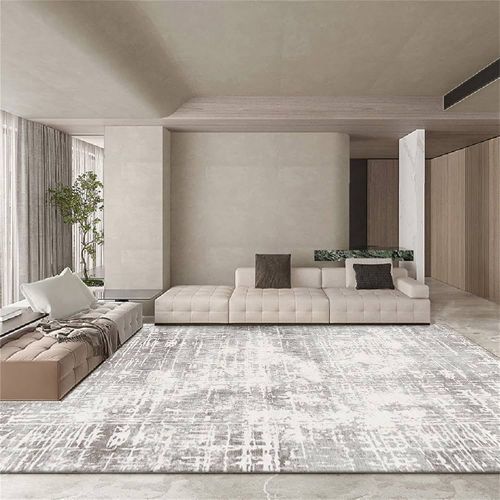 Living Room Carpet 17