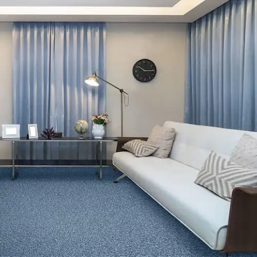 Living Room Carpet 20