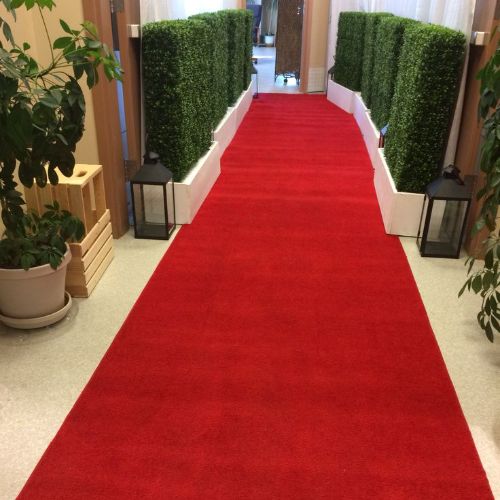 Modern Exhibition Carpet
