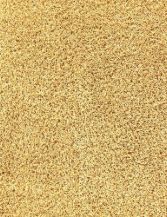 Palo Gold