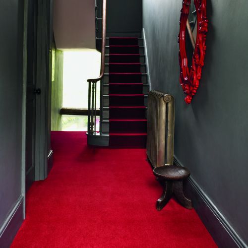 Red Carpet 20
