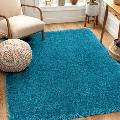 Shaggy Rugs 18