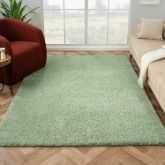 Shaggy Rugs 25