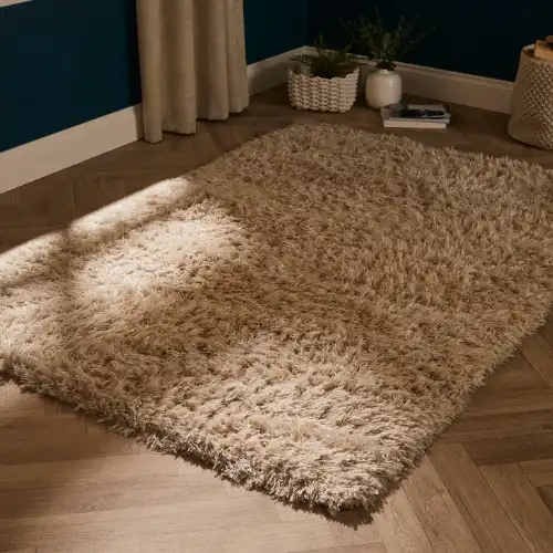 Shaggy Rugs 4