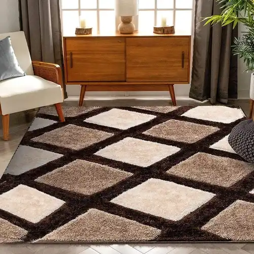 Shaggy Rugs 8