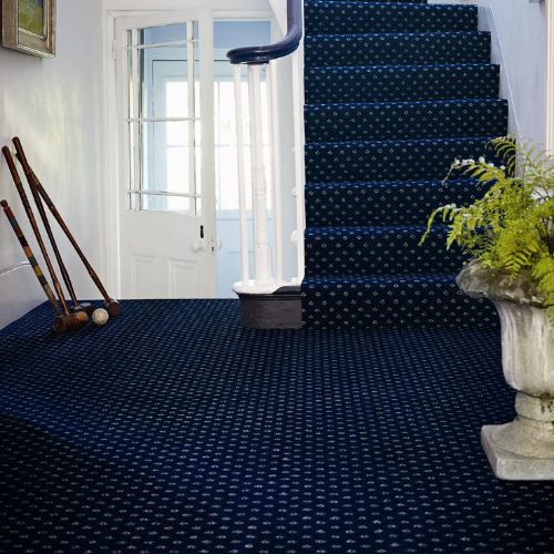 Stylish Blue Carpet
