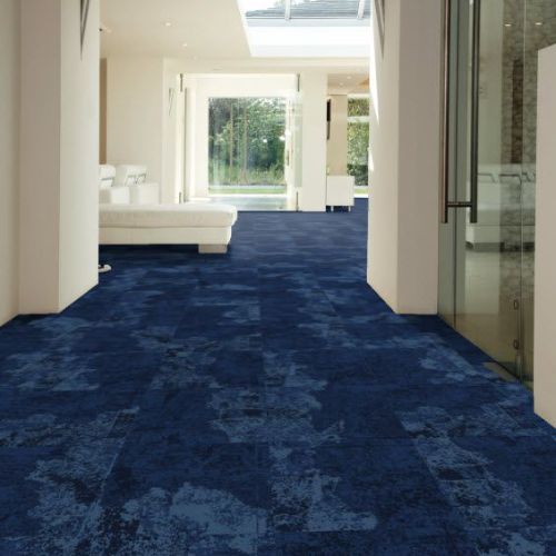 Versatile Blue Carpet