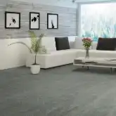 Versatile Wall to Wall Carpet