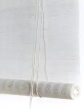 White-Plant
