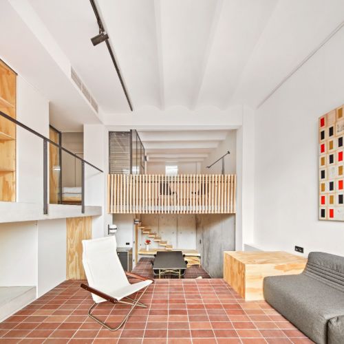Special Apartment Renovation
