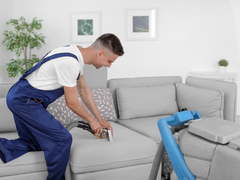 Best Sofa Cleaning
